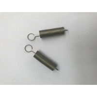 Replacement Stainless Steel Springs (x2) 